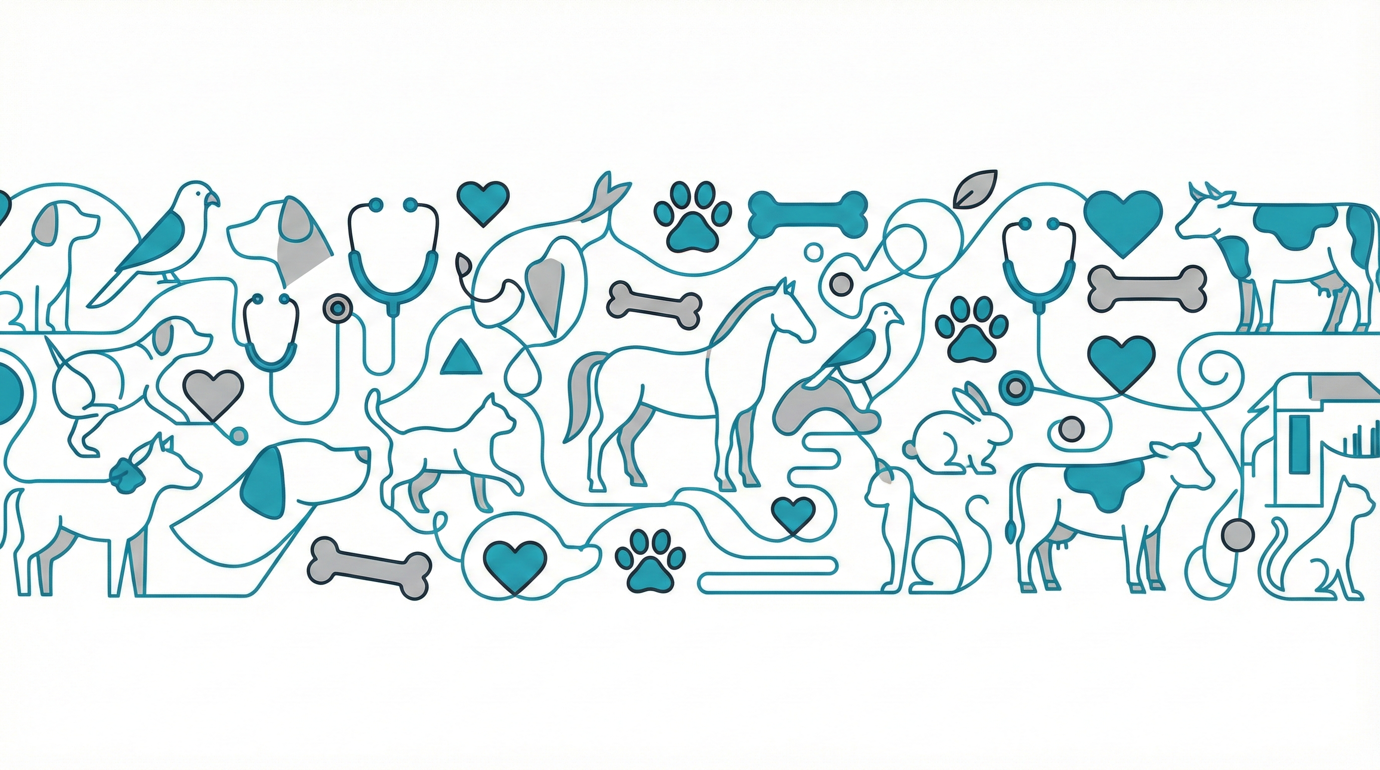 Bilateral Kornea Onarımı Nedir?